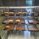 토다베이글 이미지