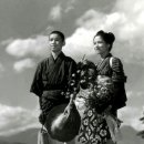 野菊の如き君なりき (1955) 이미지
