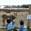 청초농장 네이버블로그