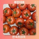 대로1-3 | 뿌린대로 맛있는 완숙 토마토 추천 배송 맛집 맛 후기 가격
