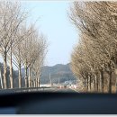 관산시장길 네이버블로그