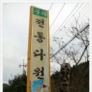 분재전통다원 이미지