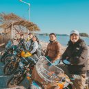 로얄다방 이미지