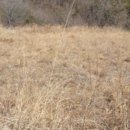 거창읍-14 이미지