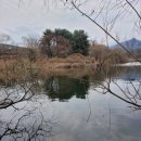 명동호프 이미지