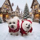 멍뭉# | 강아지와 함께하는 크리스마스&amp;기념일 수제 간식 추천 멍뭉하우스 주문 후기