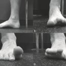 인생 핏 이미지