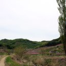 사곡 2리 이미지