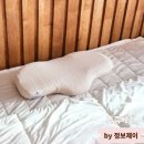 유원컴퓨터 | 소유원픽경추베개 꿀잠 완성하는 나즘베개 리뷰