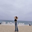 아리포차 이미지