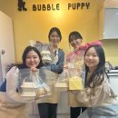 퍼피원데이 이미지