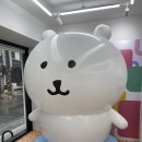2025 농담곰 팝업 후기
