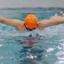 토이키즈 스윔클럽 이미지