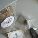 꼬소한댕 이미지