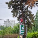 오리천국(대추골) 이미지