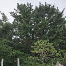 이화동산 이미지