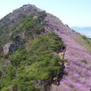 여수 235 이미지