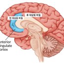 성화상회 네이버블로그