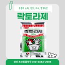 초코약국 이미지