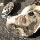 성호횟집식당 이미지