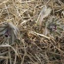 구영해수욕장 이미지