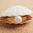 하나로 행정사 이미지