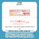 후쿠오카 교통패스 3종류 정리 및 그린패스 모바일 1일권 이용 후기