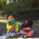행복기반 이미지