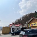 금수강산 | 5년 전 그 맛, 여전히 최고! 홍천 금수강산 막국수 재방문 후기 (feat. 회사 동료들도 인정한 찐맛집)
