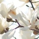 보운온누리약국 이미지