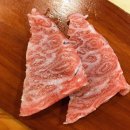 거대참치