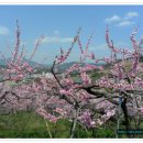 남성현초등학교 이미지