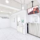 대구강아지분양 도로시펫 | 아이의 성격과 특징을 세심하게 알려주던 대구강아지분양 도로시펫