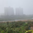 청신로2097번길