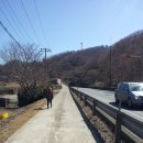 추원모차골 이미지