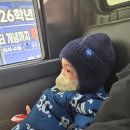 초록마을구서점 | [부산] 아기호랑이 방학 4일차 일상｜부산 구서동 지하철 외출 · 온천천 산책 · 모모스 커피