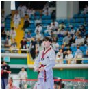 참교육태권도 이미지