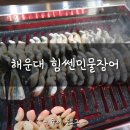 힘쎈민물장어 이미지