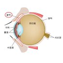 으뜸50안경서울대점 이미지