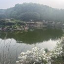 가현산낚시터 이미지