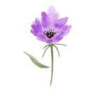 도그마루 강아지고양이 목동점 이미지