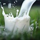 (주)올로 이미지