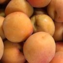 글로라인 이미지