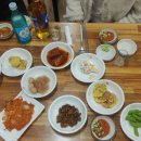 구룡포산오징어회식당