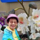 광주병원 이미지