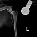 부평 모모 동물병원 이미지