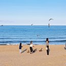 증산해변