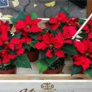 인사동길 이미지