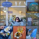 석식농장 | 강원도 치유농장 팸투어, 들꽃과 쪽빛으로 가득한 치유 여행