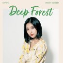 마이 딥 포레스트